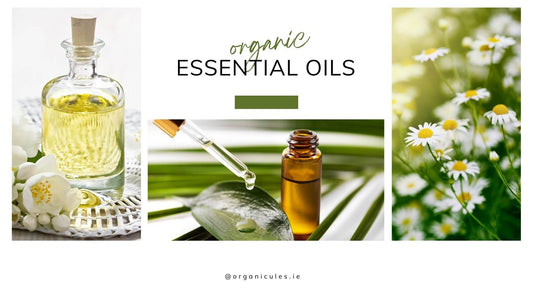 Introducing Essential Oils and Their Benefits