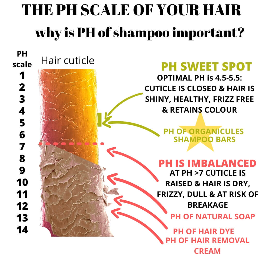 solid-shampoo-ireland-ph
