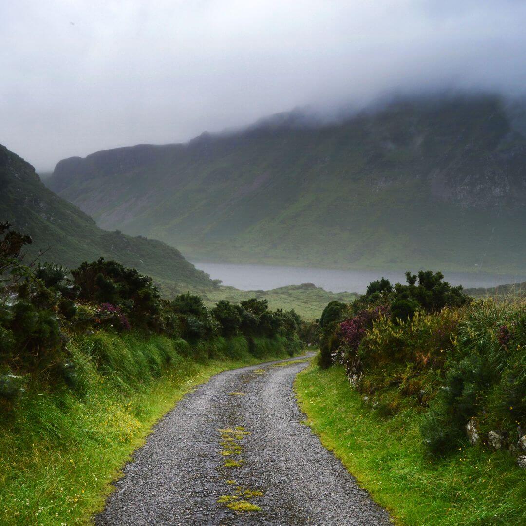 Organicules West Cork Ireland