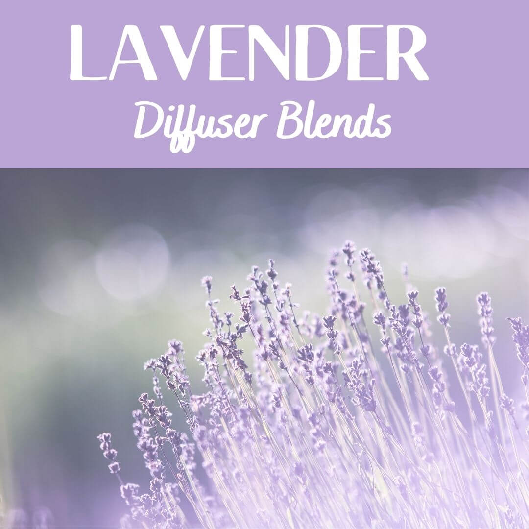 Essential Oil of Lavender diffuser blends